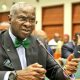 Nigeria Will Not Progress Without Borrowing-Fashola