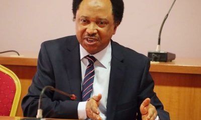 See How Shehu Sani Reacts To DSS Invasion Of Sunday Igboho's Home