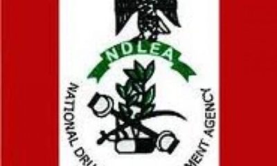 NDLEA