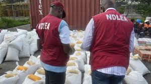 NDLEA Arrests ‘Drug Trafficker’ Who Defecated 59 Wraps Of Cocaine