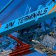 APM Terminals Staff Test Positive To Coronavirus