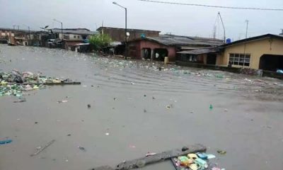 Downpour Kills Two Sisters, Scores Of Animals In Sokoto, Scores Displaced As Flood Wreaks Havoc In Ekiti