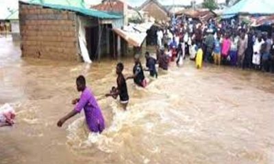 Flood Kills 26, Destroys Over 2000 Houses In Kano – Official