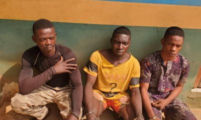 Police Arrests 3 Men For Allegedly Luring, Raping Lady In Ogun