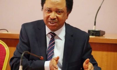 Shehu Sani