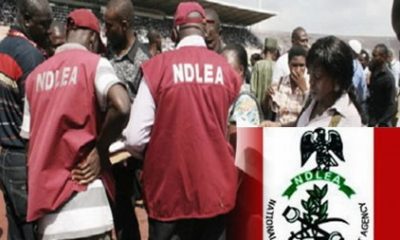 Cocaine Worth ‘₦264m’ Seized in Abuja, Kogi – NDLEA