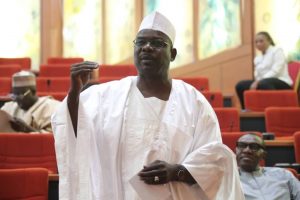 Senator Ali Ndume