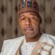 Zulum Opens Up On Contesting For Presidency