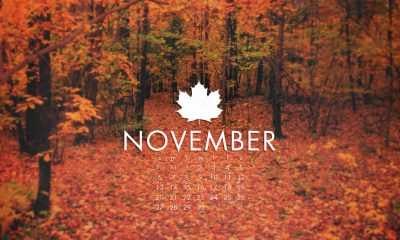 November