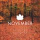 November