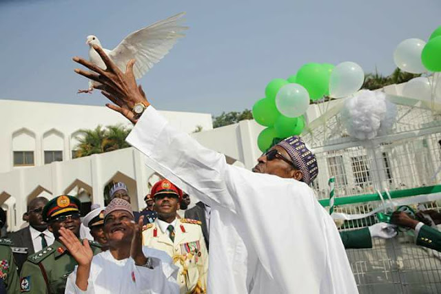 Buhari Dove