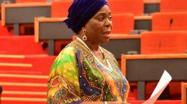 Sen. Biodun Olujimi, PDP