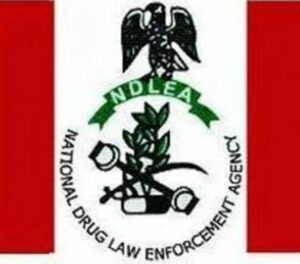 NDLEA Arrests 253 Suspects In Osun