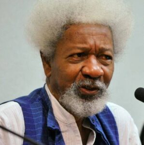 We Are Working With UN To Protect Part Of Nigeria – Soyinka 