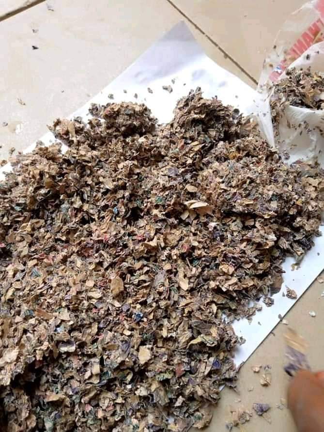 See Decayed Foreign Currency Recovered At Custom Officers House In Kano [PHOTOS]