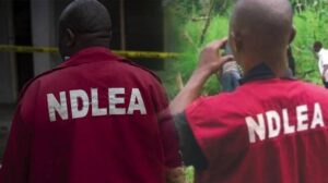 NDLEA Gets About N1bn To Purchase Body Scanner 