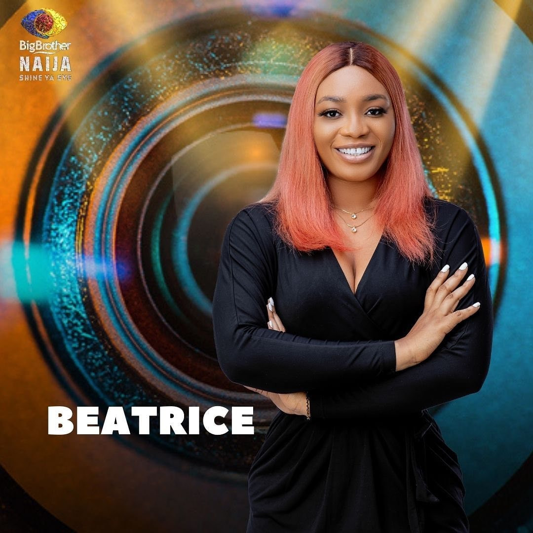 Meet the 22 #BBNaija housemates 