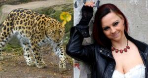 Popular Model Injured Badly By Leopard