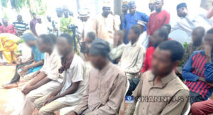 BREAKING: Abducted Zamfara College Students Regain Freedom (Photos)