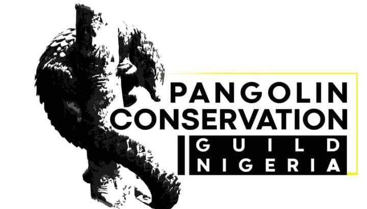 World Pangolin Day