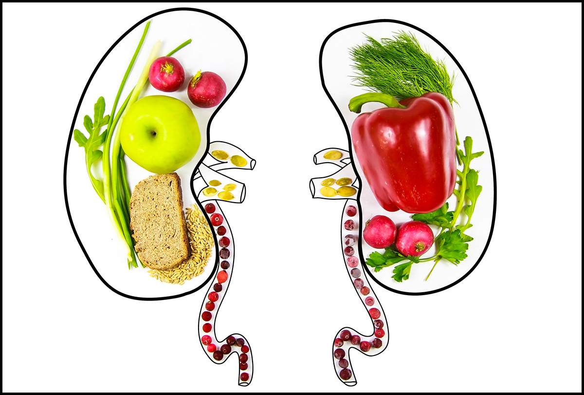 Foods That Will Fortify Your Kidney