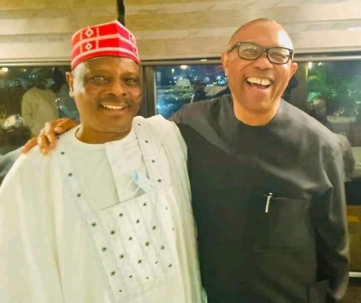 NNPP In Talks With Peter Obi