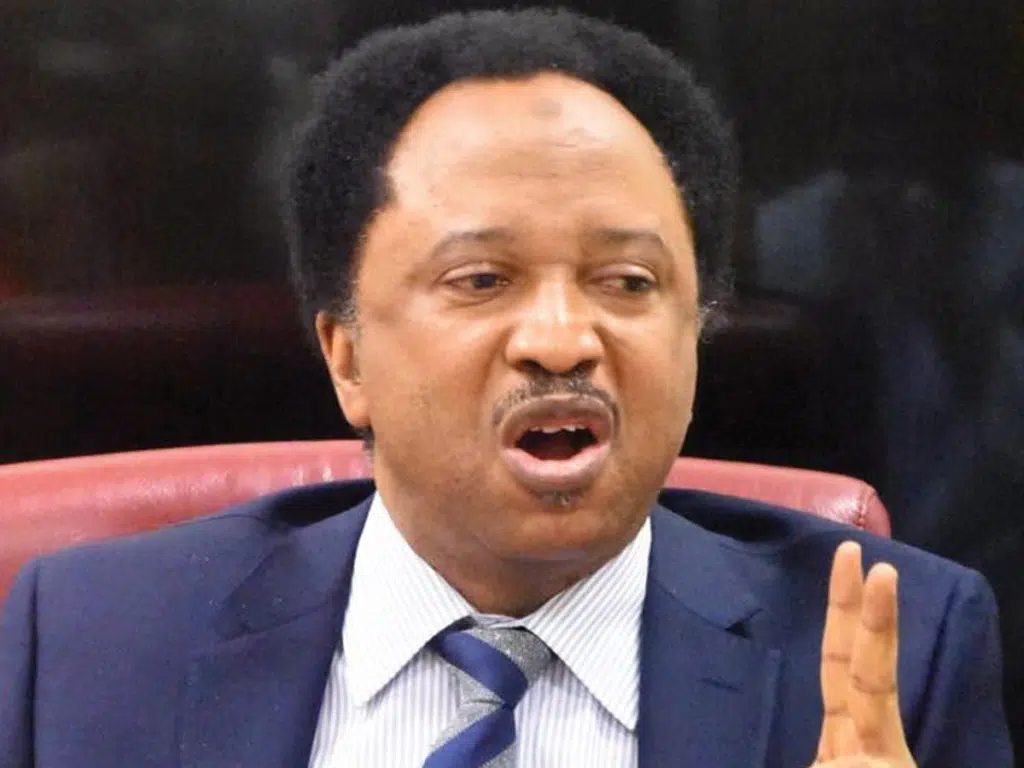 Shehu Sani Warns