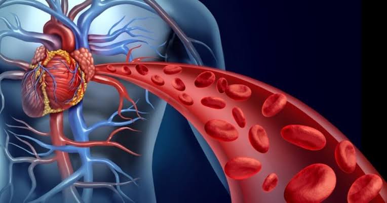 7 Signs Of Poor Blood Circulation In The Body