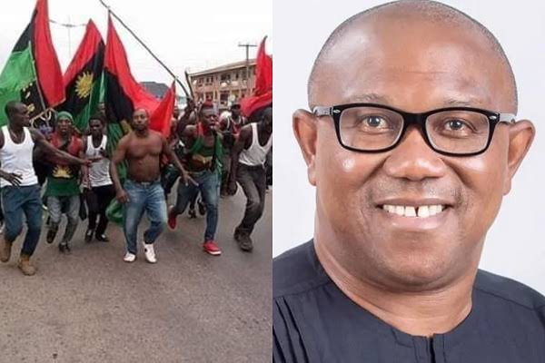 IPOB Slams Miyetti Allah