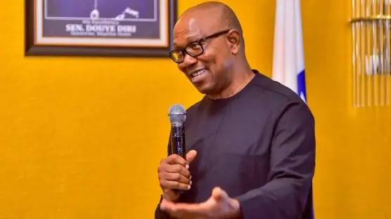 Peter Obi, Iyere