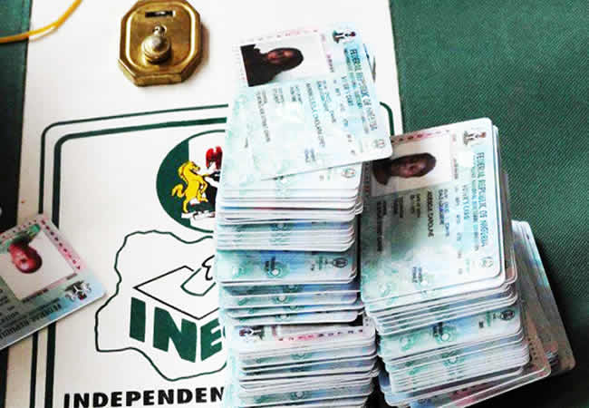 Edo INEC PVC Collection