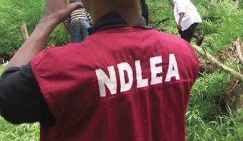 NDLEA