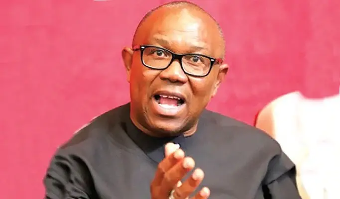 Don't Be A Political Pawn -- Ohanaeze To U. K On Peter Obi Saga