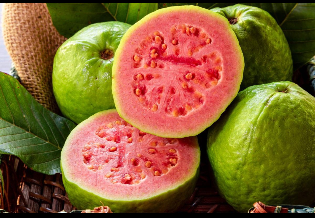 Guava