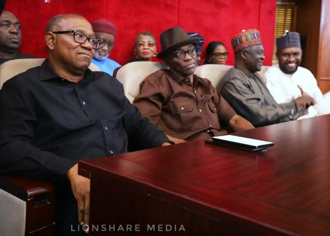 Peter Obi closes case against Tinubu