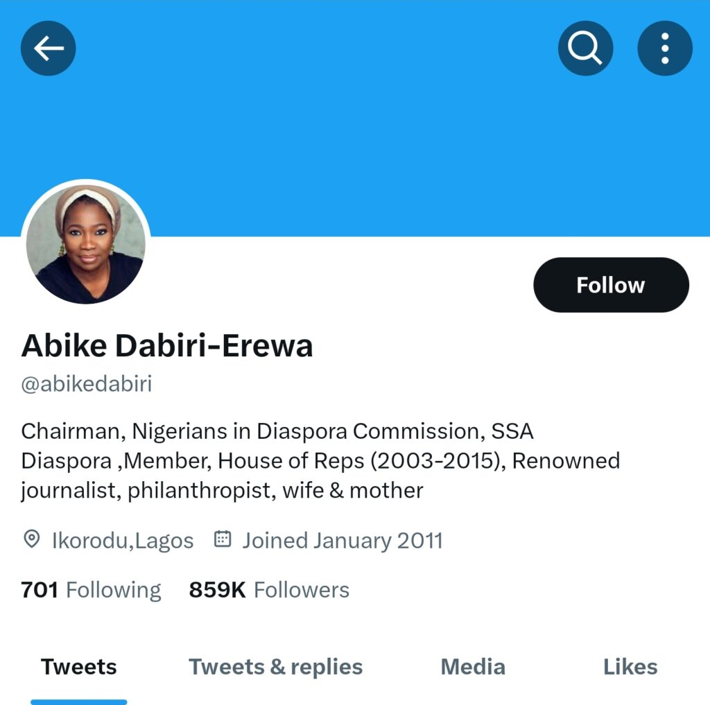 How NIDCOM Chair, Abike Dabiri-Erewa's Twitter page currently looks 