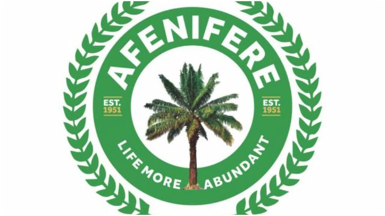 Afenifere Condemns Invasion Of Oyo House Of Assembly Amid Yoruba Nation Agitation