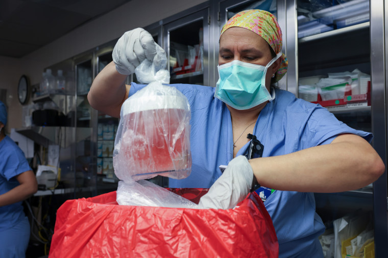 First Living Person To Receive Genetically Modified Pig Kidney Transplant Passes Away