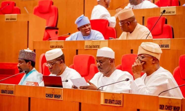 Ali Ndume, Senate Chamber, Renovation, Poor Quality, Senate Chief Whip, National Assembly, Electronic Voting Devices, Audio Issues, Seating Arrangement, Borno South, Conference Room, Godswill Akpabio, Senate President, FCDA, Federal Capital Development Authority, Ninth Senate, Red Chamber, Sitting Arrangement, Legislative Proceedings, Dissatisfaction, Corrective Measures