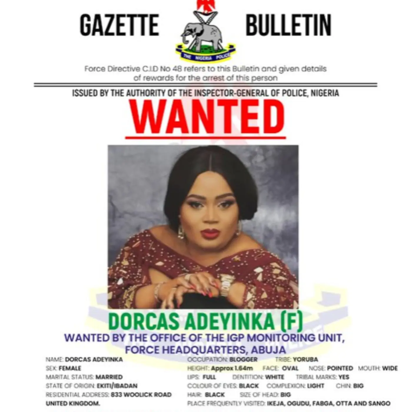 UK-Based Blogger Dorcas Adeyinka: Nigeria's Most Wanted?