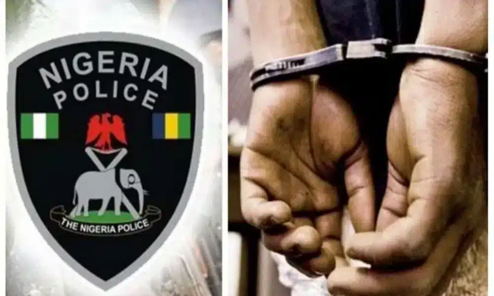 Kwara Police Probe Missing Placenta, Umbilical Cord At Hospital