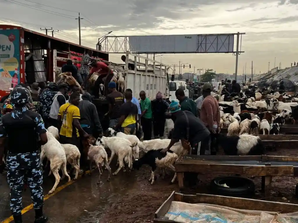 Lagos Crackdown: Roadside Livestock Sales Face Strict Enforcement