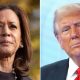 Kamala Defeat Trump