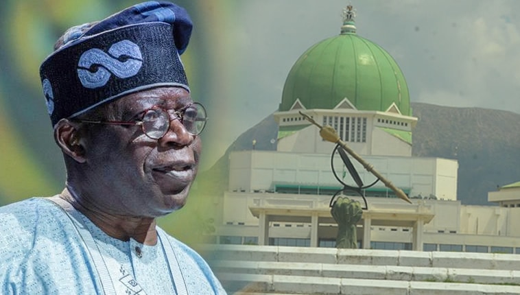 Social Bill NASS Tinubu