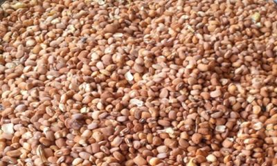 Beans Price Lagos