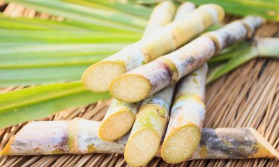 Eat Sugarcane Regularly And Say Goodbye To These Diseases