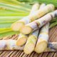 Eat Sugarcane Regularly And Say Goodbye To These Diseases