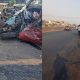 Five Dead, One Injured in Iwo Road-Ojoo Expressway Accident