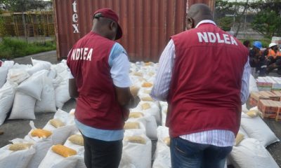 N2.2 Billion Drugs Seized at Tincan Port as NDLEA, Customs Arrest Two Suspects