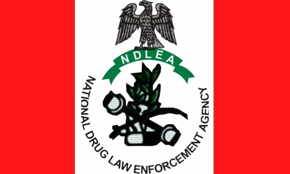 Senate Seeks Justice in NDLEA Shooting of Toddlers